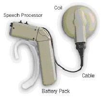 cochlear2