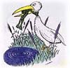 Heron