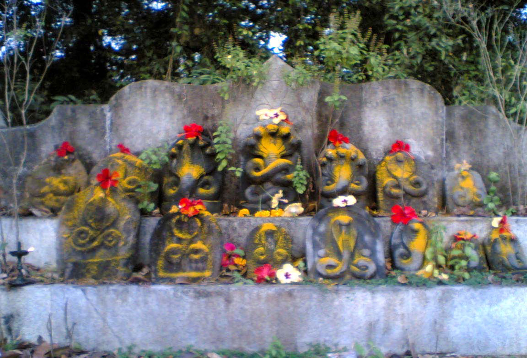 Anantha Padmanabha Festival History And Rituals Of Anantha Padmanabha 