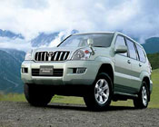 prado model