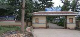 tribal-museum