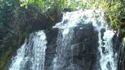 agasthiyar-falls
