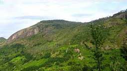 Ambikapur Hills
