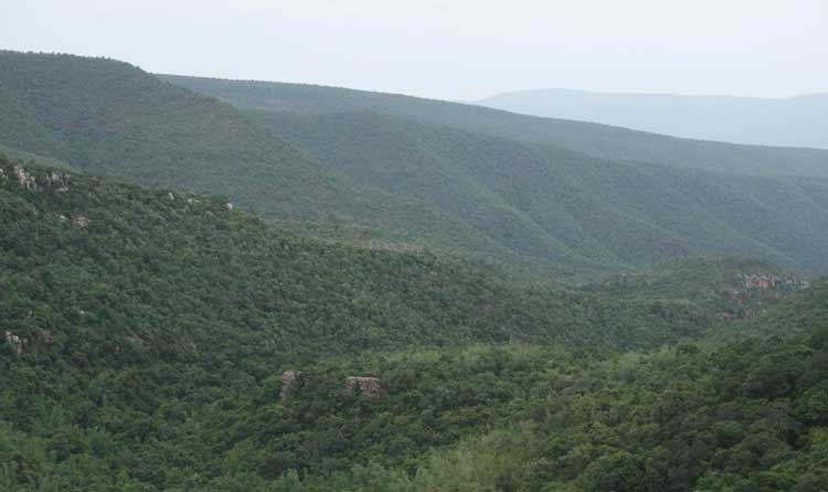 ananthagiri-hill