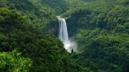 Tambadi Surla Waterfalls<