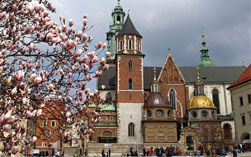 Poland travel insurance