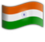 NRIOL logo