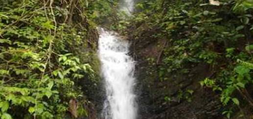 Phek Waterfall