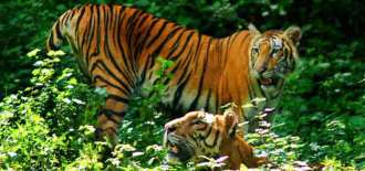 ranipur-wildlife-sanctuary