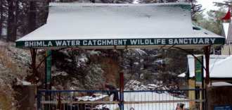 shimla-water-catchment-wildlife-sanctuary