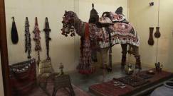Shreyas Folk Museum