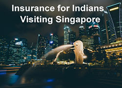 indian travel insurance for singapore