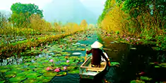 Vietnam travel insurance